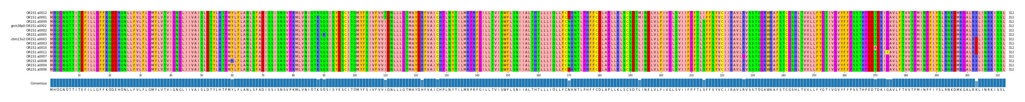 Multiple Alignments (by translate haplotype similarity)