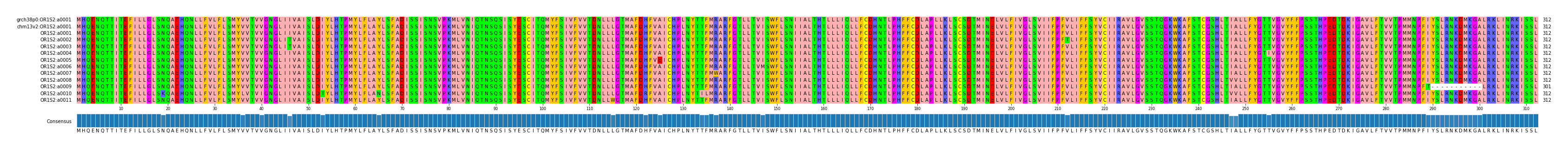 Multiple Alignments (by translate haplotype frequency)