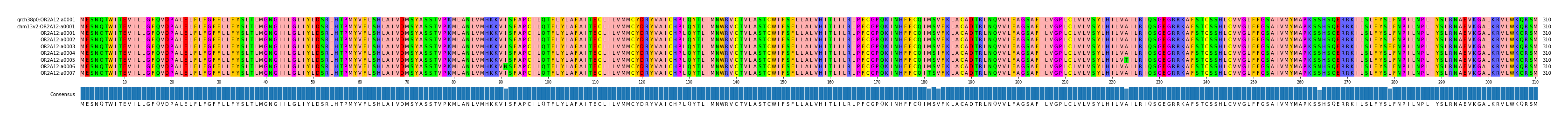 Multiple Alignments (by translate haplotype frequency)