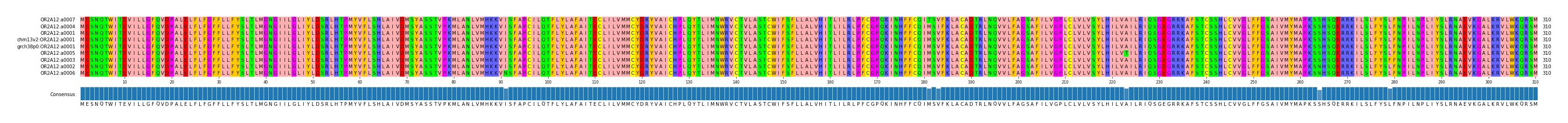 Multiple Alignments (by translate haplotype similarity)