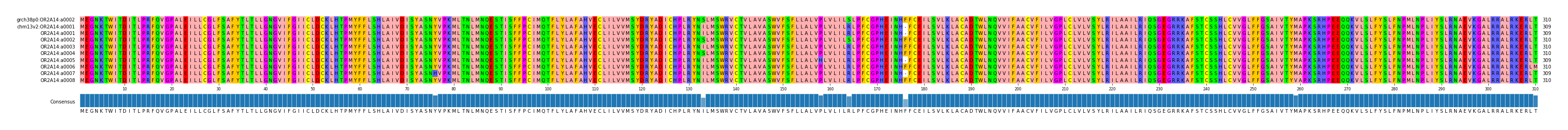 Multiple Alignments (by translate haplotype frequency)