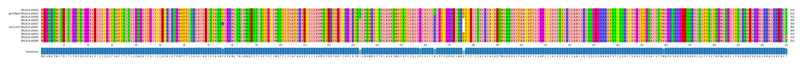 Multiple Alignments (by translate haplotype similarity)