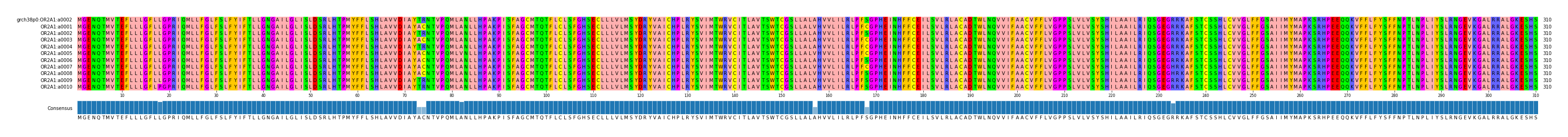 Multiple Alignments (by translate haplotype frequency)
