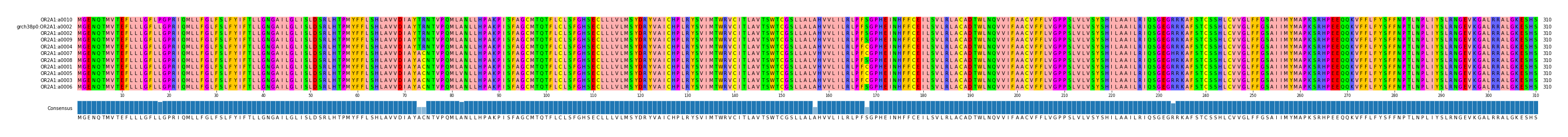 Multiple Alignments (by translate haplotype similarity)