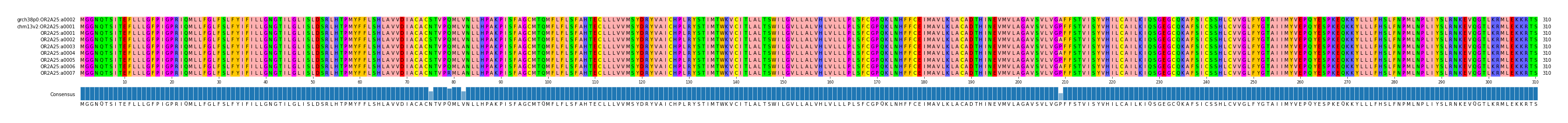 Multiple Alignments (by translate haplotype frequency)