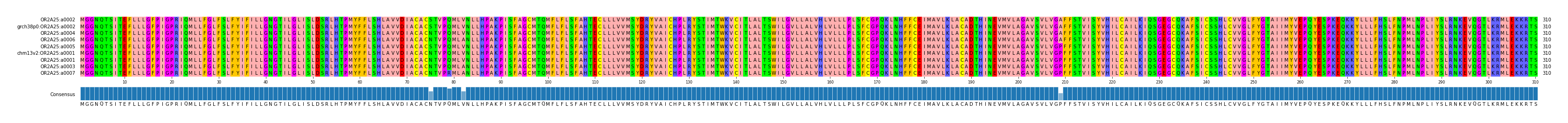 Multiple Alignments (by translate haplotype similarity)
