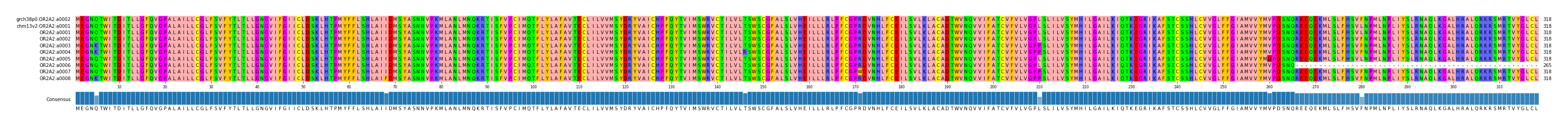 Multiple Alignments (by translate haplotype frequency)