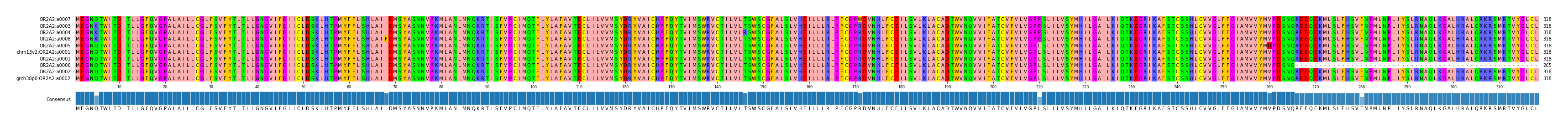 Multiple Alignments (by translate haplotype similarity)