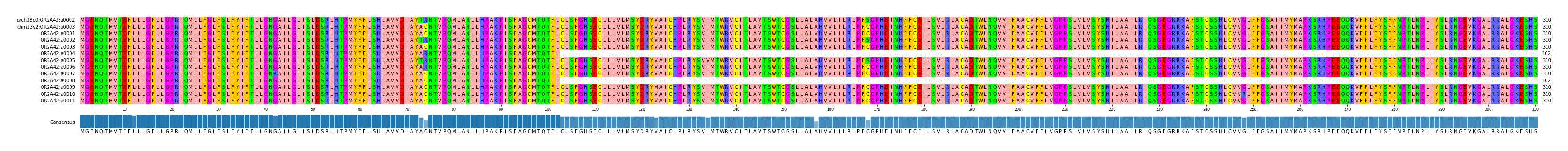 Multiple Alignments (by translate haplotype frequency)
