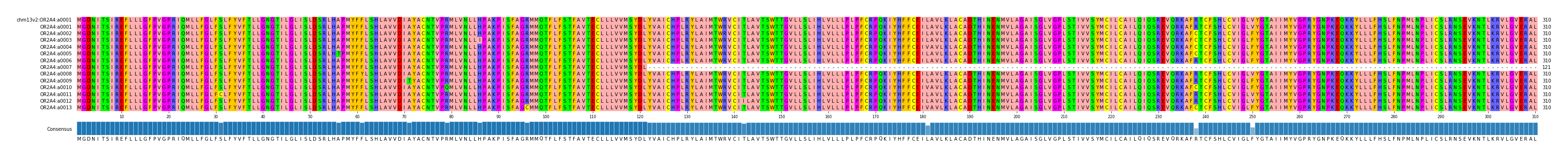 Multiple Alignments (by translate haplotype frequency)