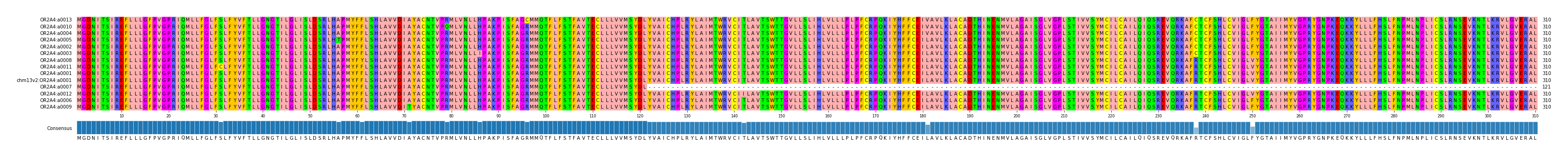 Multiple Alignments (by translate haplotype similarity)