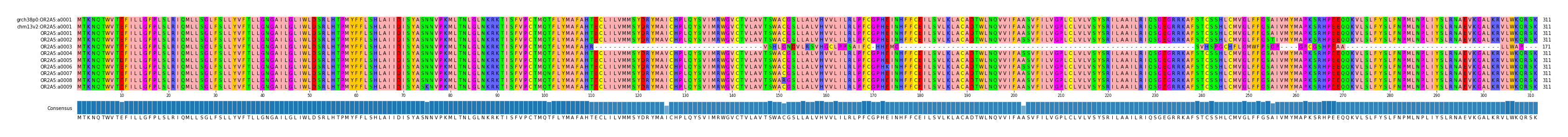 Multiple Alignments (by translate haplotype frequency)