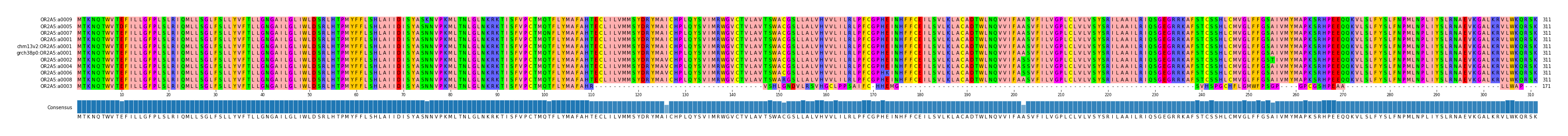 Multiple Alignments (by translate haplotype similarity)