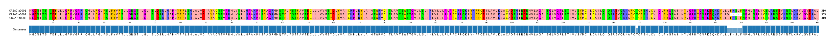 Multiple Alignments (by translate haplotype frequency)
