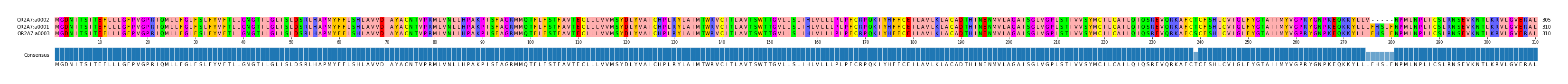 Multiple Alignments (by translate haplotype similarity)