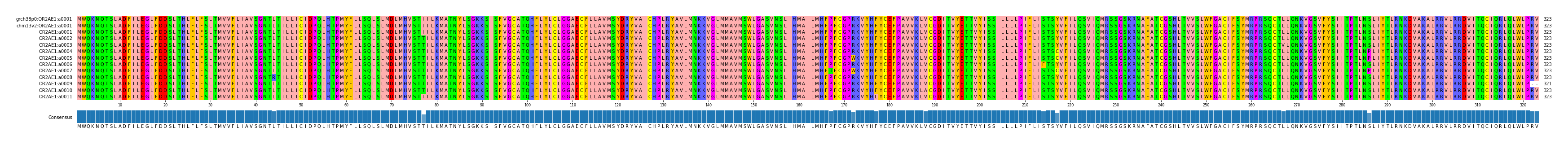 Multiple Alignments (by translate haplotype frequency)