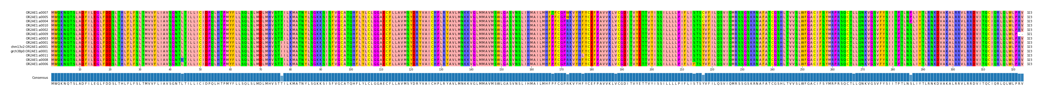 Multiple Alignments (by translate haplotype similarity)