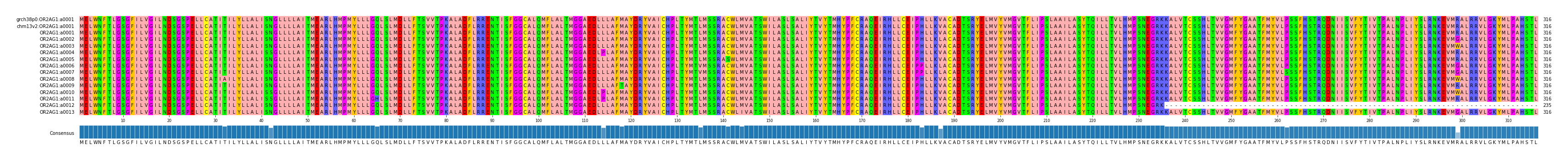 Multiple Alignments (by translate haplotype frequency)