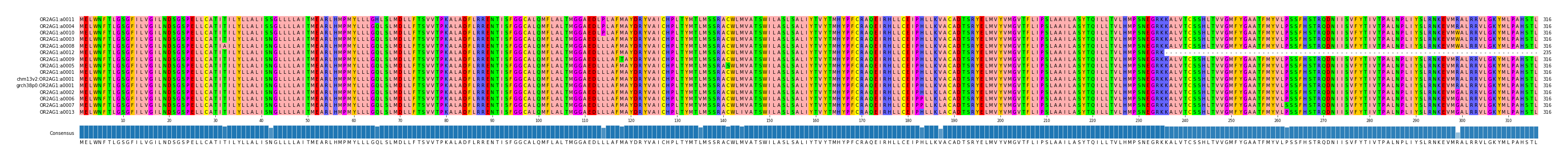 Multiple Alignments (by translate haplotype similarity)