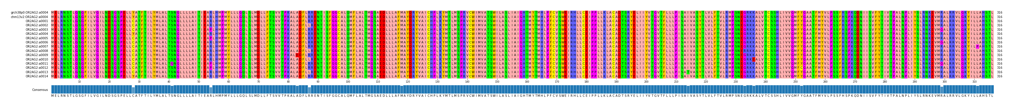 Multiple Alignments (by translate haplotype frequency)