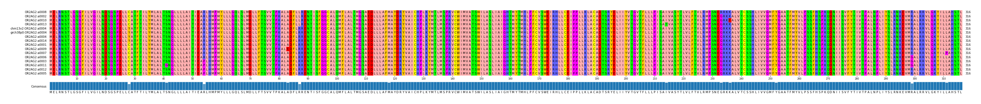 Multiple Alignments (by translate haplotype similarity)
