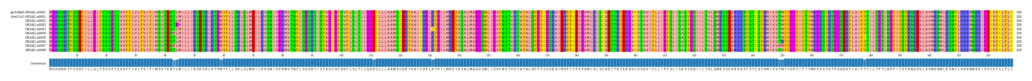 Multiple Alignments (by translate haplotype frequency)