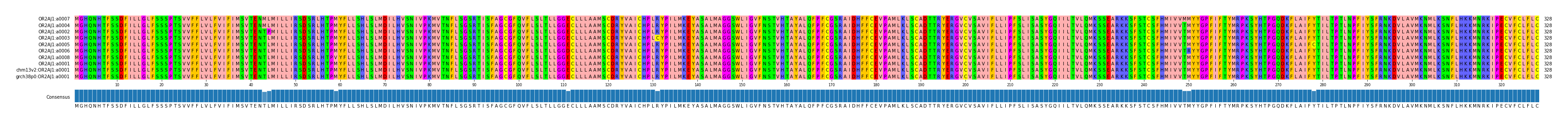Multiple Alignments (by translate haplotype similarity)