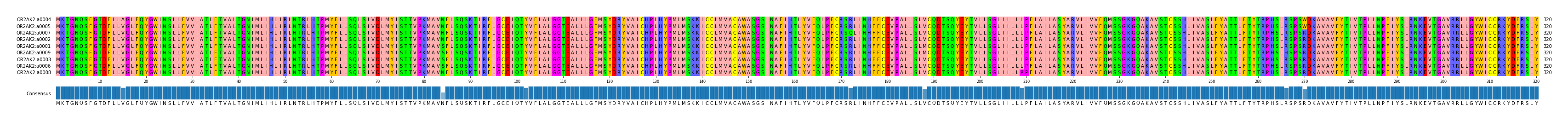 Multiple Alignments (by translate haplotype similarity)