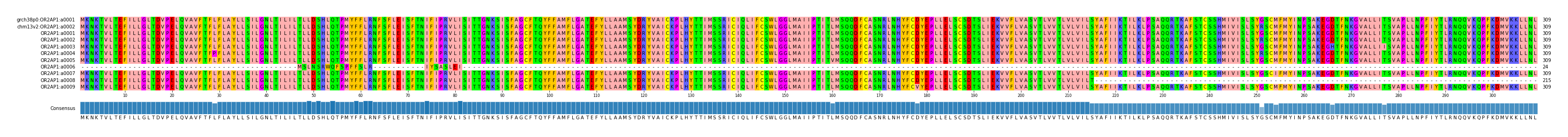 Multiple Alignments (by translate haplotype frequency)