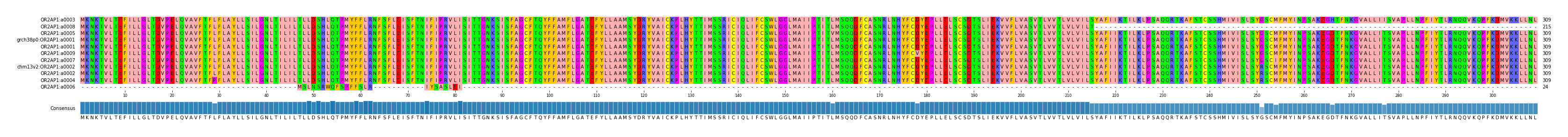 Multiple Alignments (by translate haplotype similarity)
