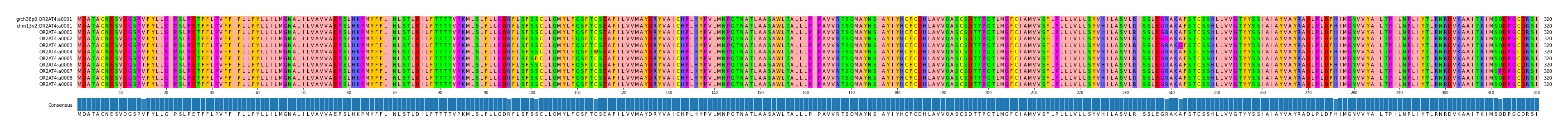 Multiple Alignments (by translate haplotype frequency)