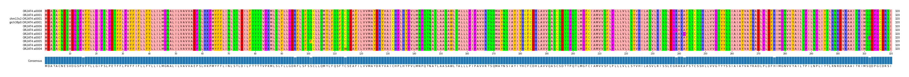 Multiple Alignments (by translate haplotype similarity)