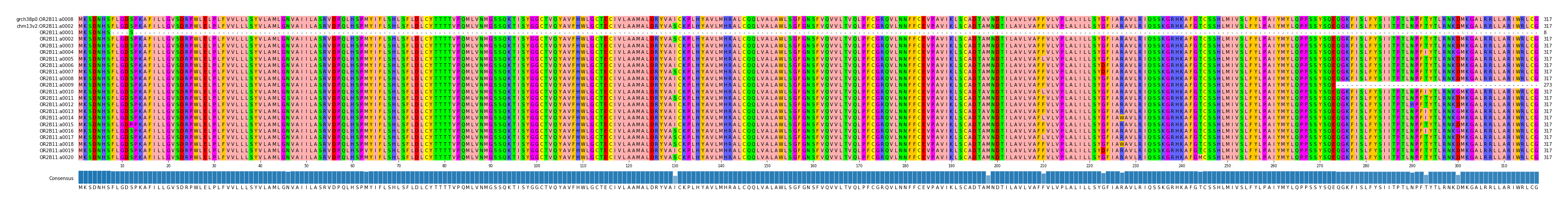 Multiple Alignments (by translate haplotype frequency)