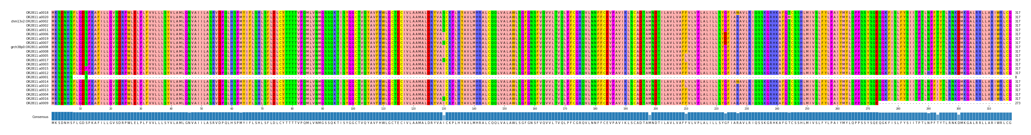 Multiple Alignments (by translate haplotype similarity)