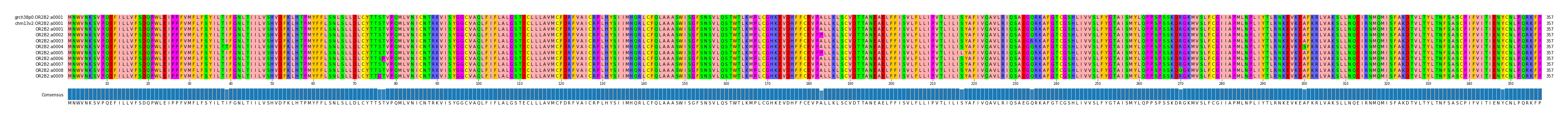 Multiple Alignments (by translate haplotype frequency)