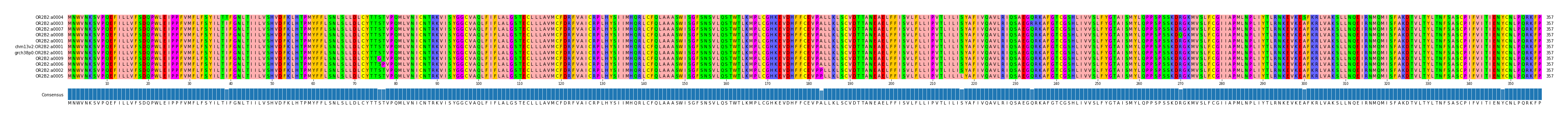 Multiple Alignments (by translate haplotype similarity)