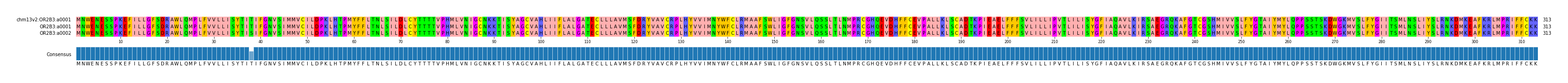 Multiple Alignments (by translate haplotype similarity)