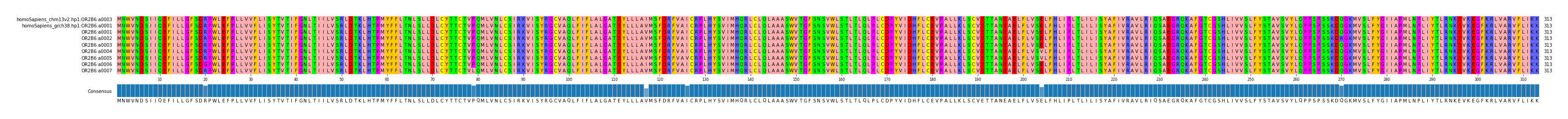 Multiple Alignments (by translate haplotype frequency)
