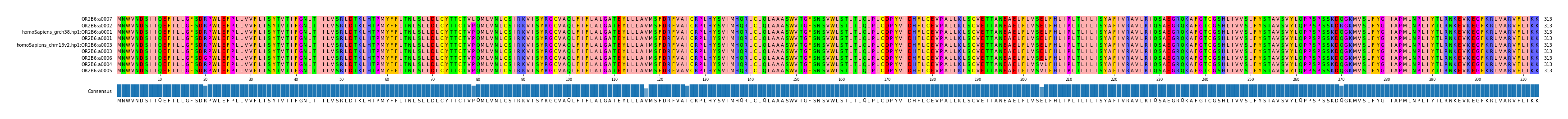 Multiple Alignments (by translate haplotype similarity)