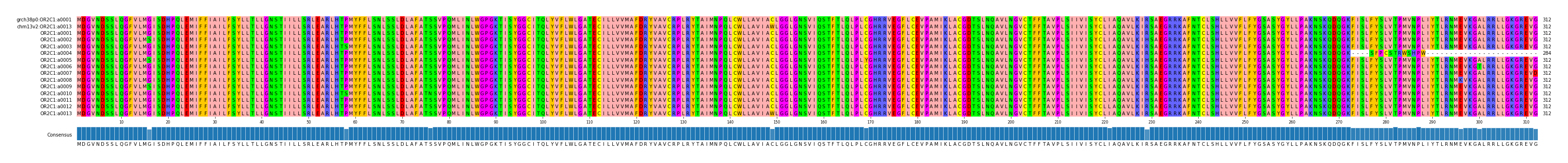 Multiple Alignments (by translate haplotype frequency)