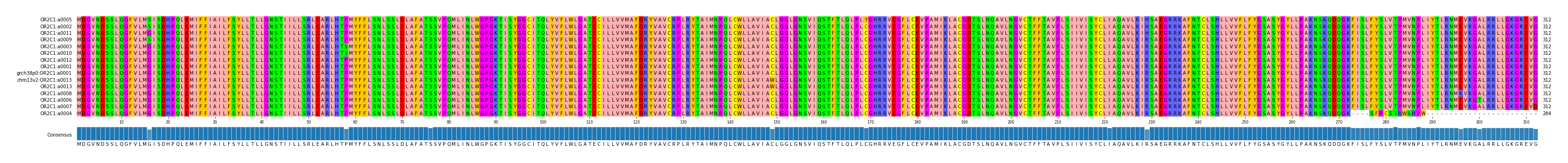 Multiple Alignments (by translate haplotype similarity)