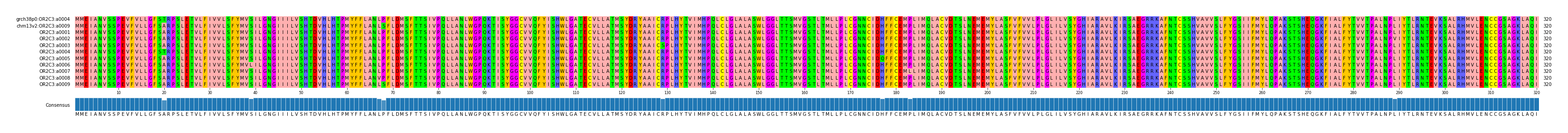 Multiple Alignments (by translate haplotype frequency)