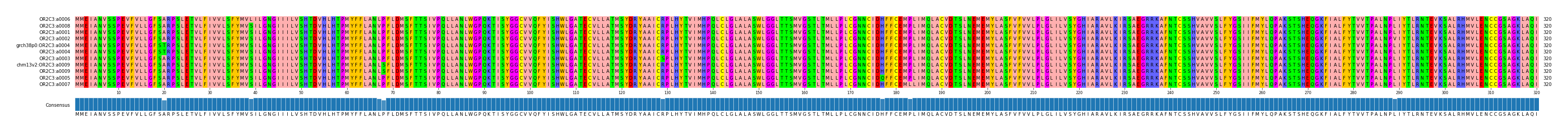 Multiple Alignments (by translate haplotype similarity)