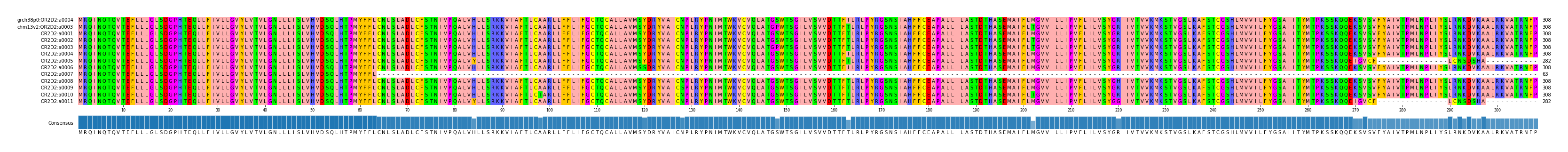 Multiple Alignments (by translate haplotype frequency)