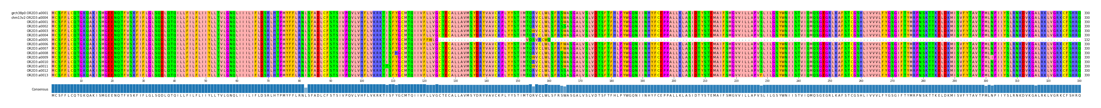 Multiple Alignments (by translate haplotype frequency)