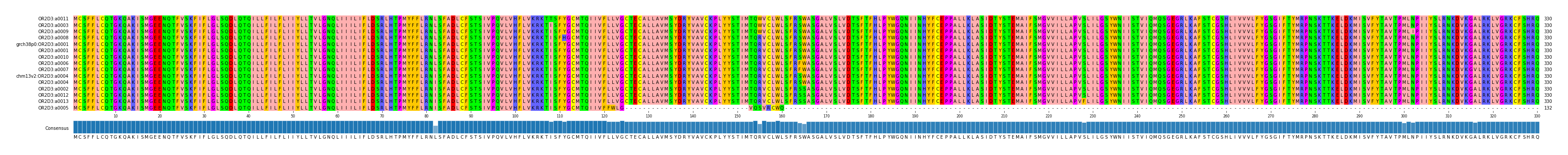 Multiple Alignments (by translate haplotype similarity)