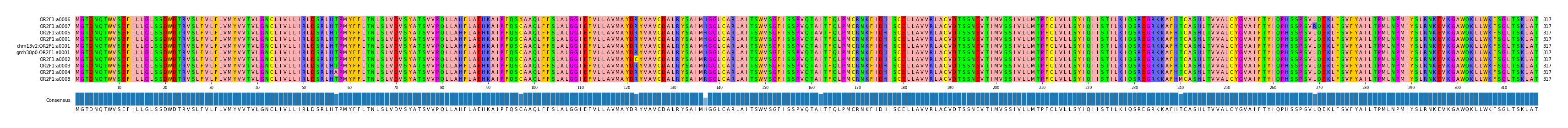 Multiple Alignments (by translate haplotype similarity)