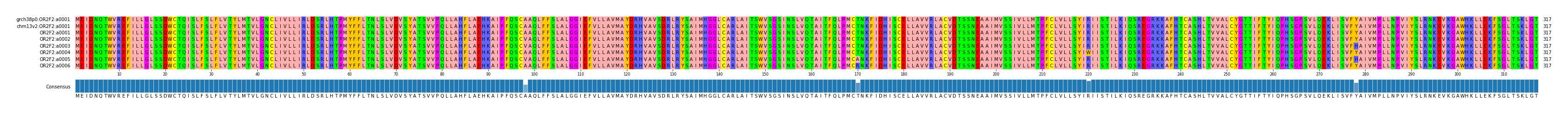 Multiple Alignments (by translate haplotype frequency)