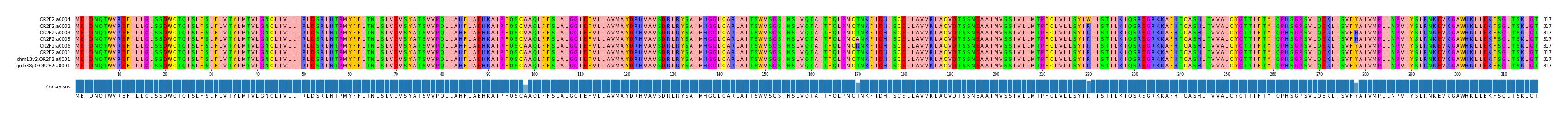 Multiple Alignments (by translate haplotype similarity)