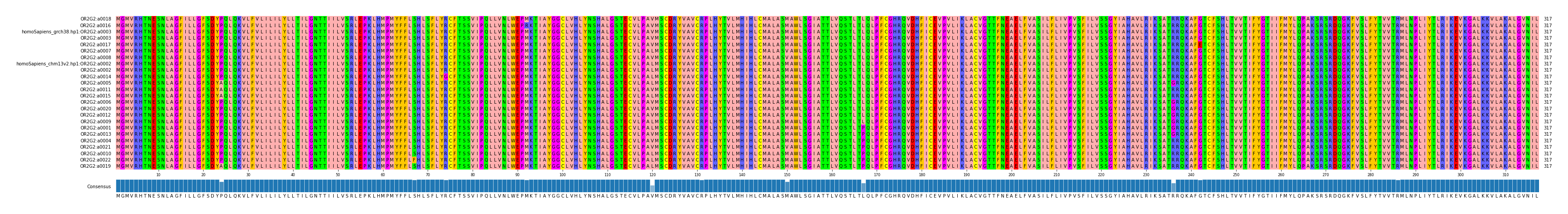Multiple Alignments (by translate haplotype similarity)